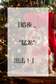 暗夜，“猛龙”出击！